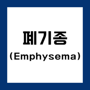 폐기종(emphysema)